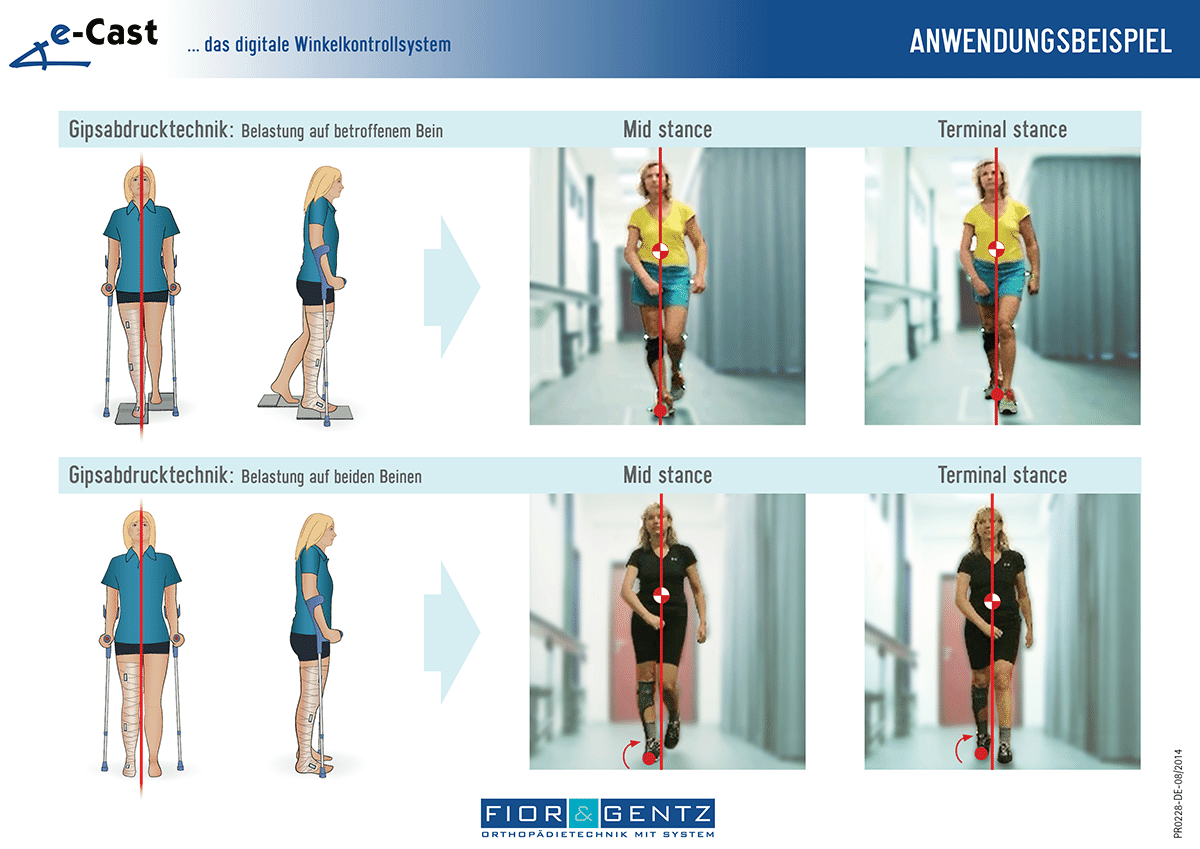 Handout e-Cast Anwendungsbeispiel