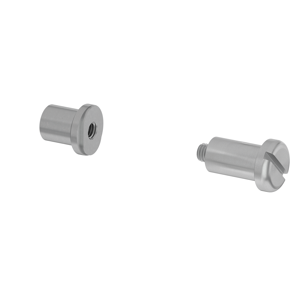 Gelenkaufnahme für einachsige Systemknöchelgelenke